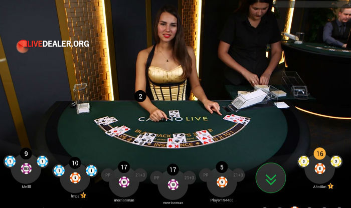 Paddy Power blackjack video | Livedealer.org